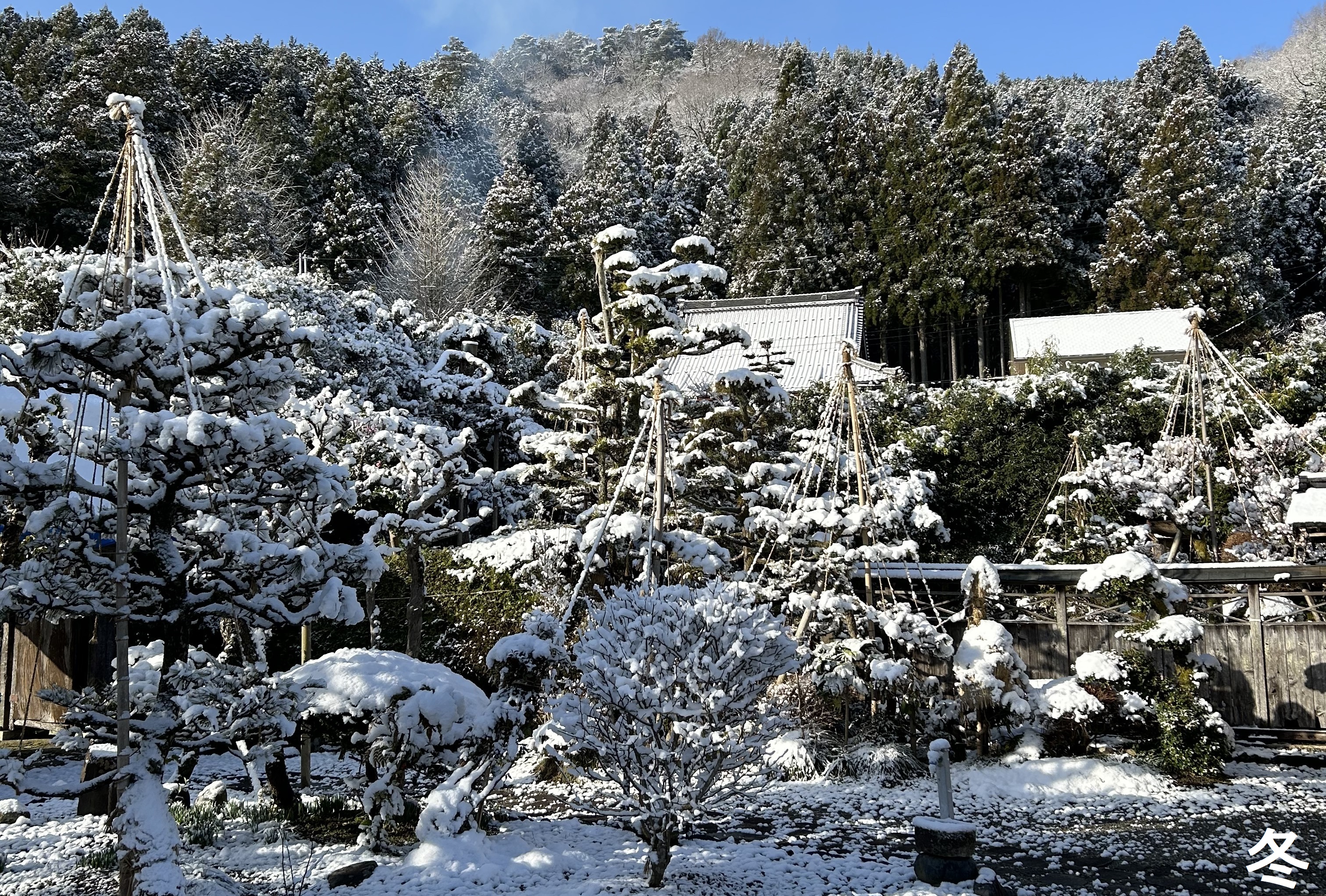 �^�C�g���C���[�W